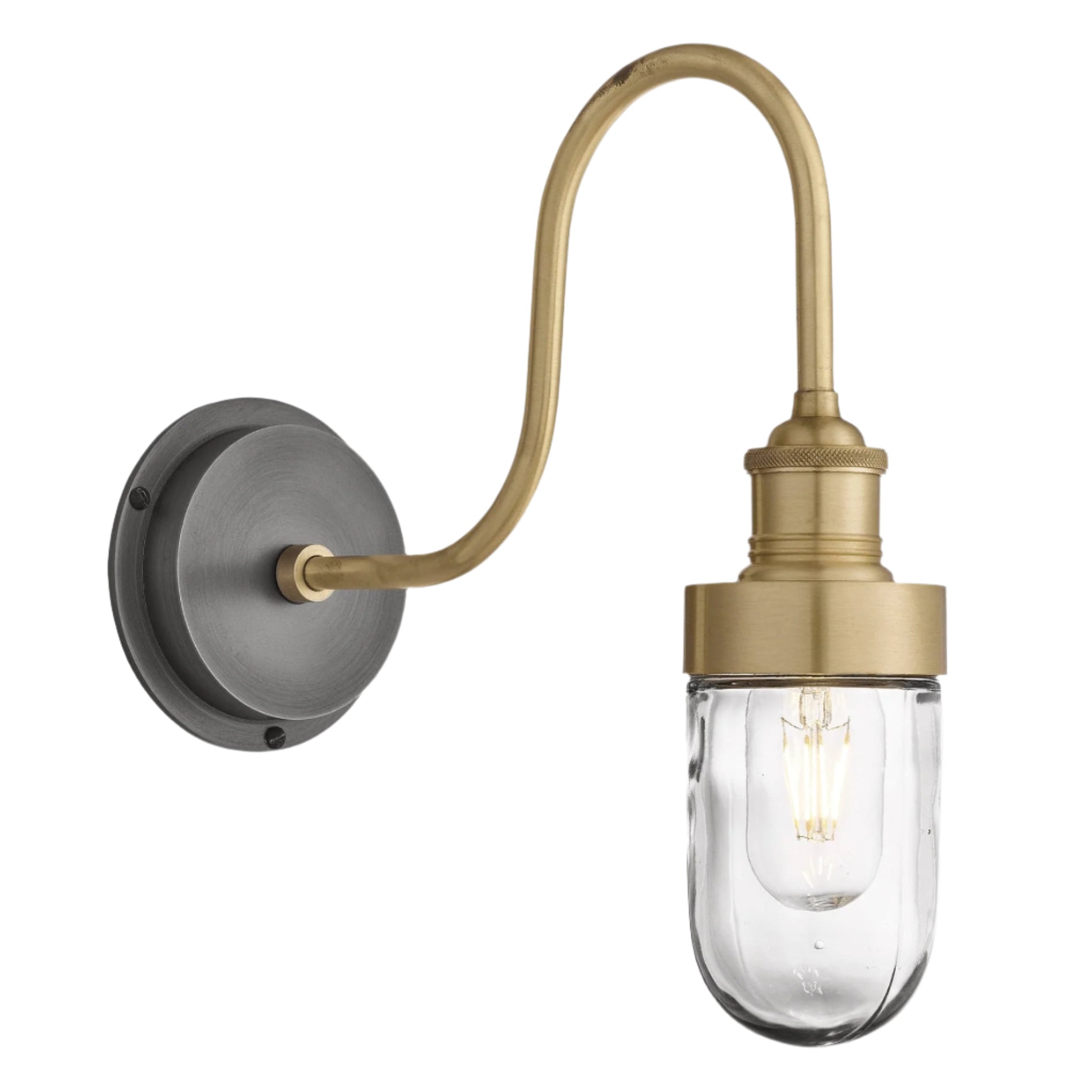 Swan Neck Outdoor & Bathroom Wall Light