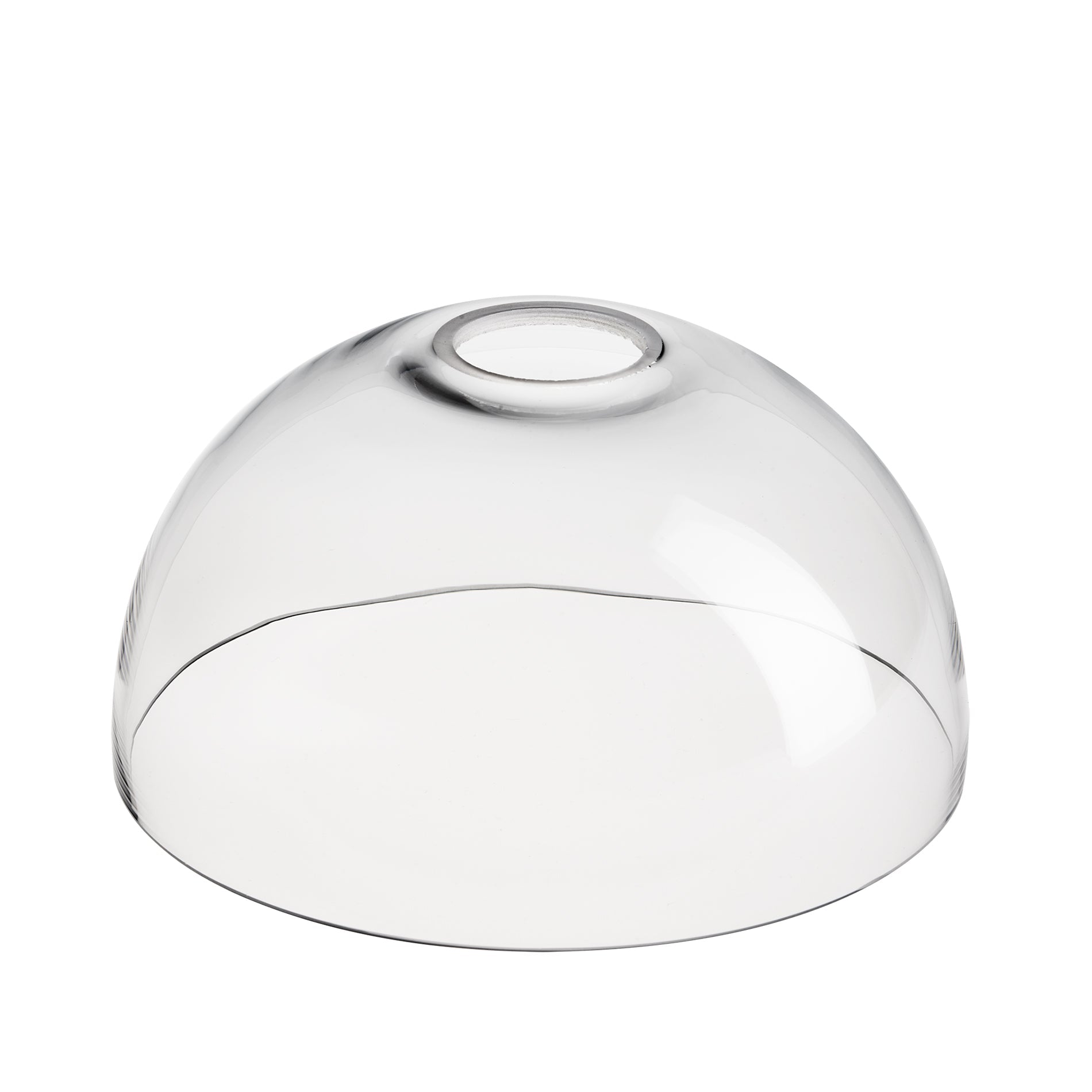Noho Glass Dome Swan Neck Wall Light - 8 Inch