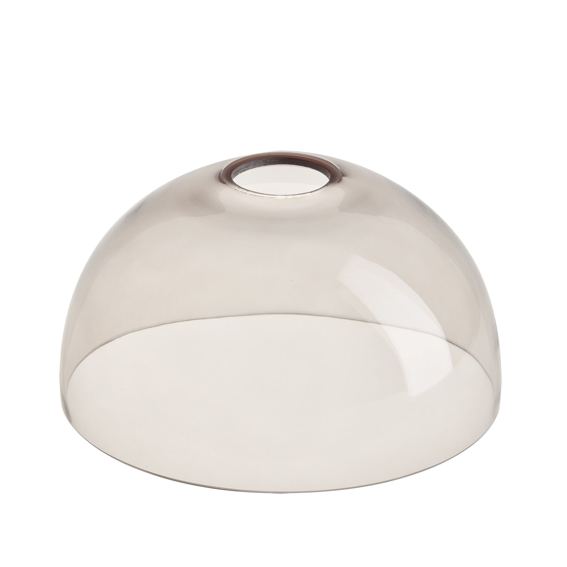 Noho Glass Dome Swan Neck Wall Light - 8 Inch