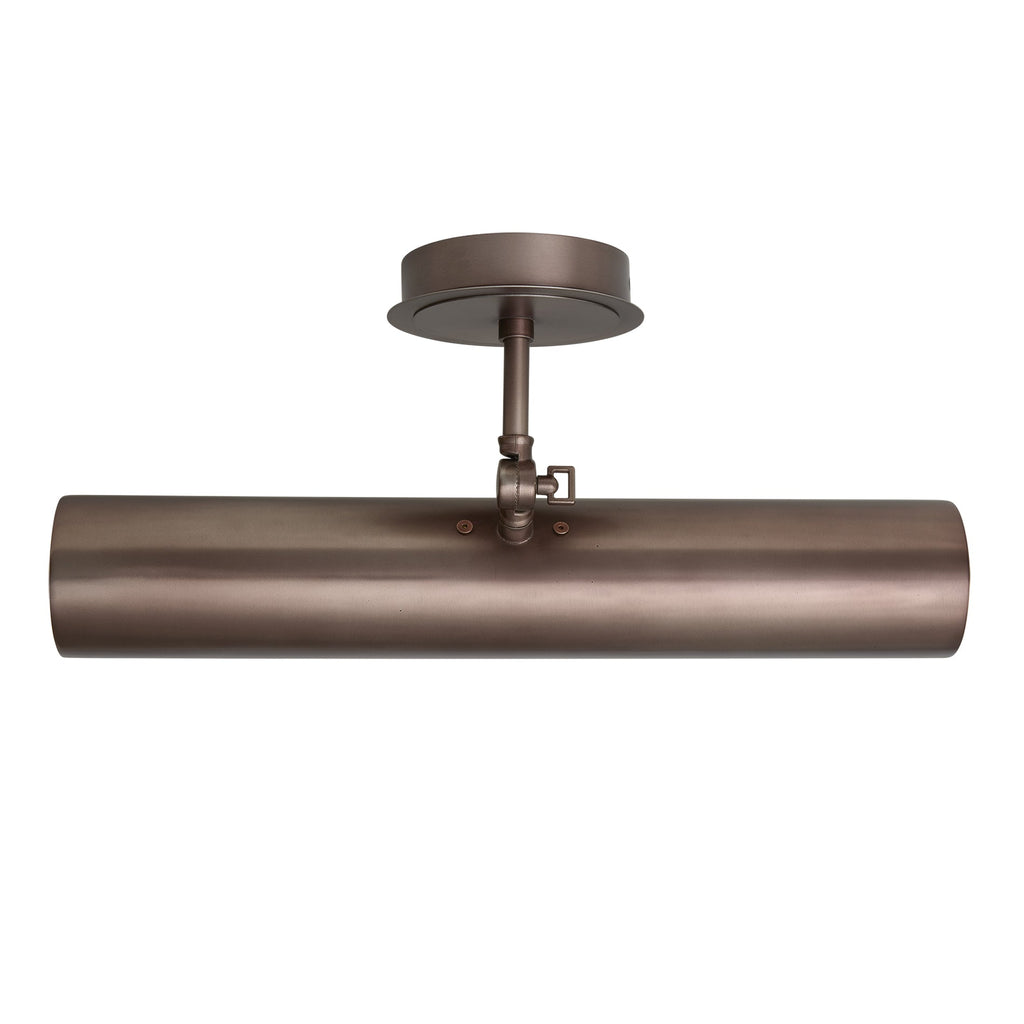 Albany Picture Wall Light